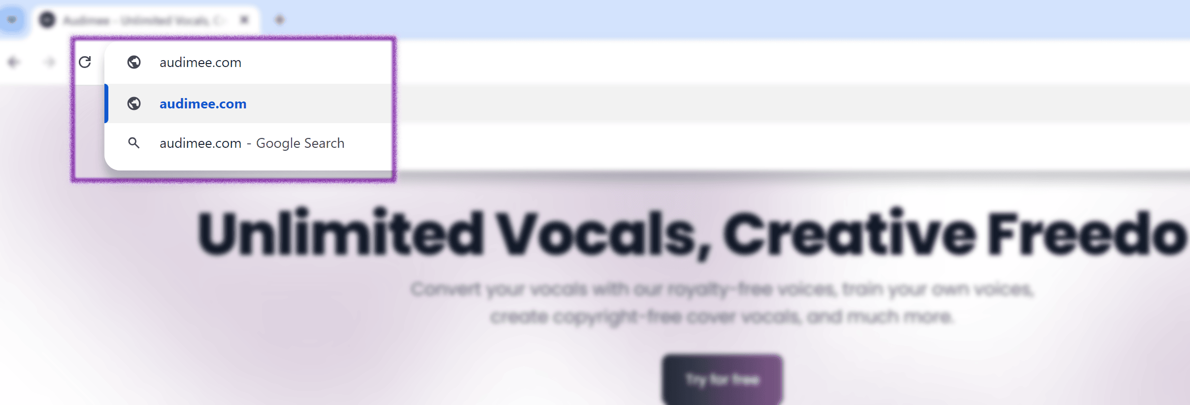 Navigate to Audimee homepage